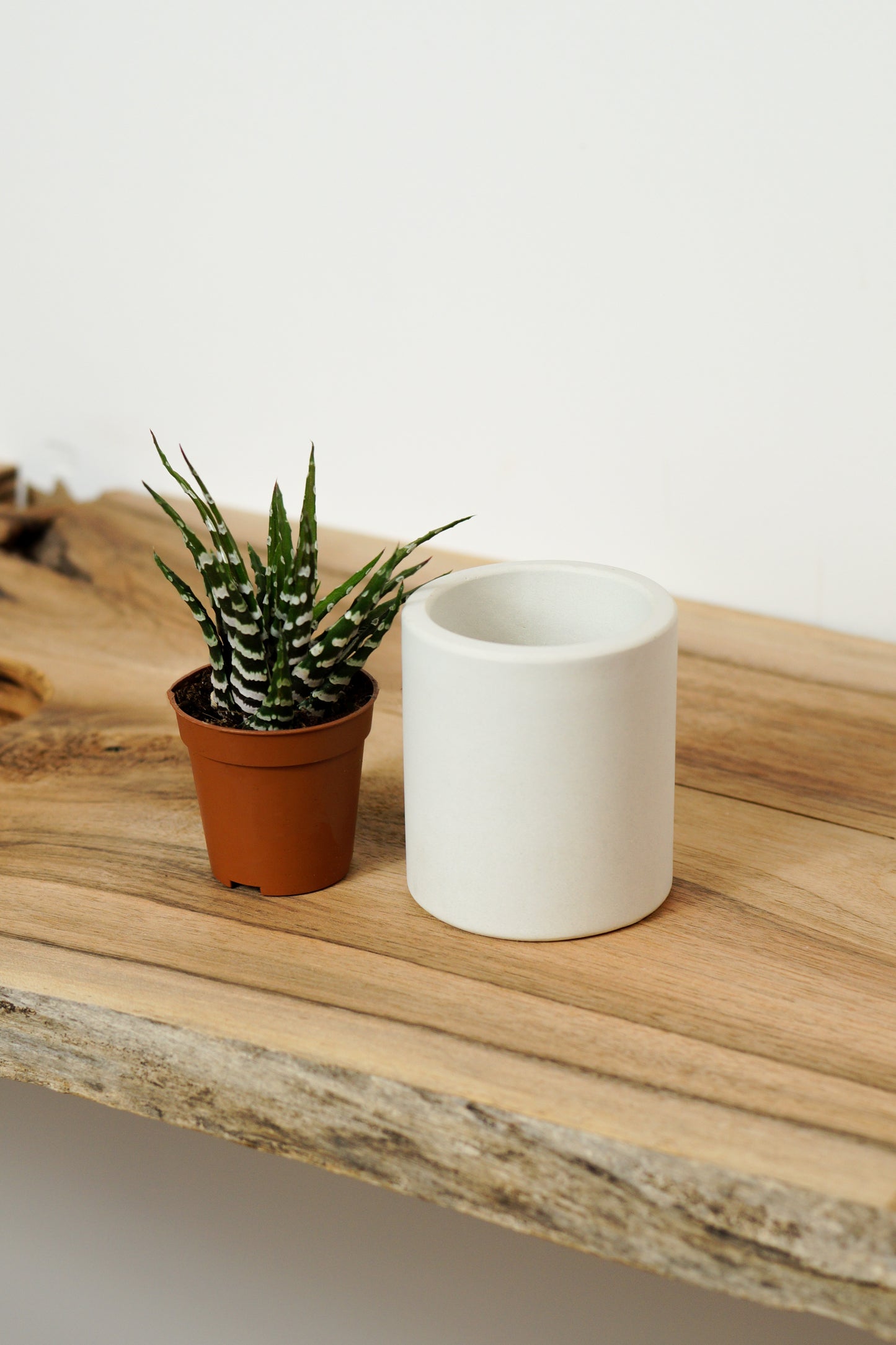 cache pot ciment