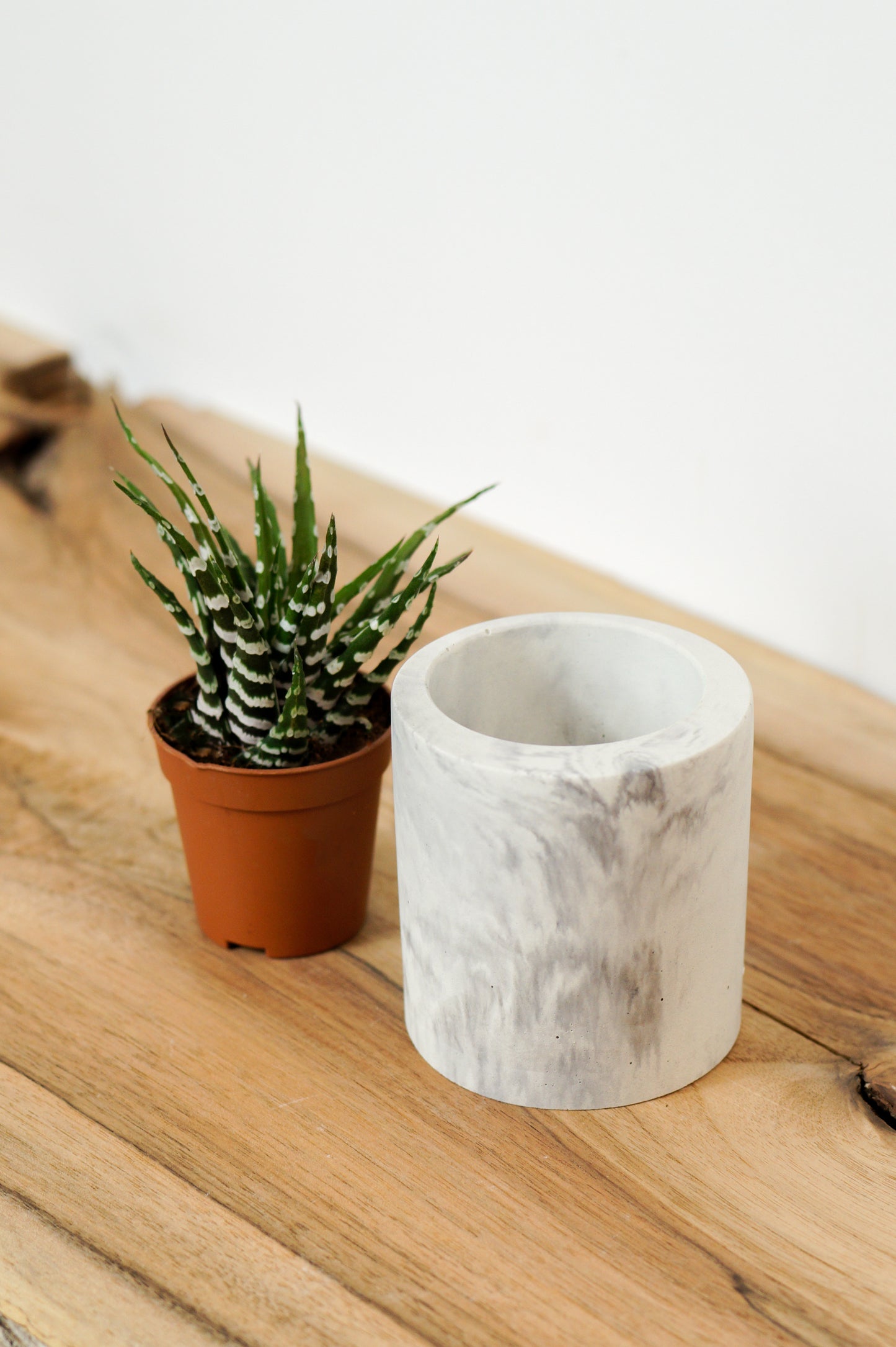 cache pot ciment