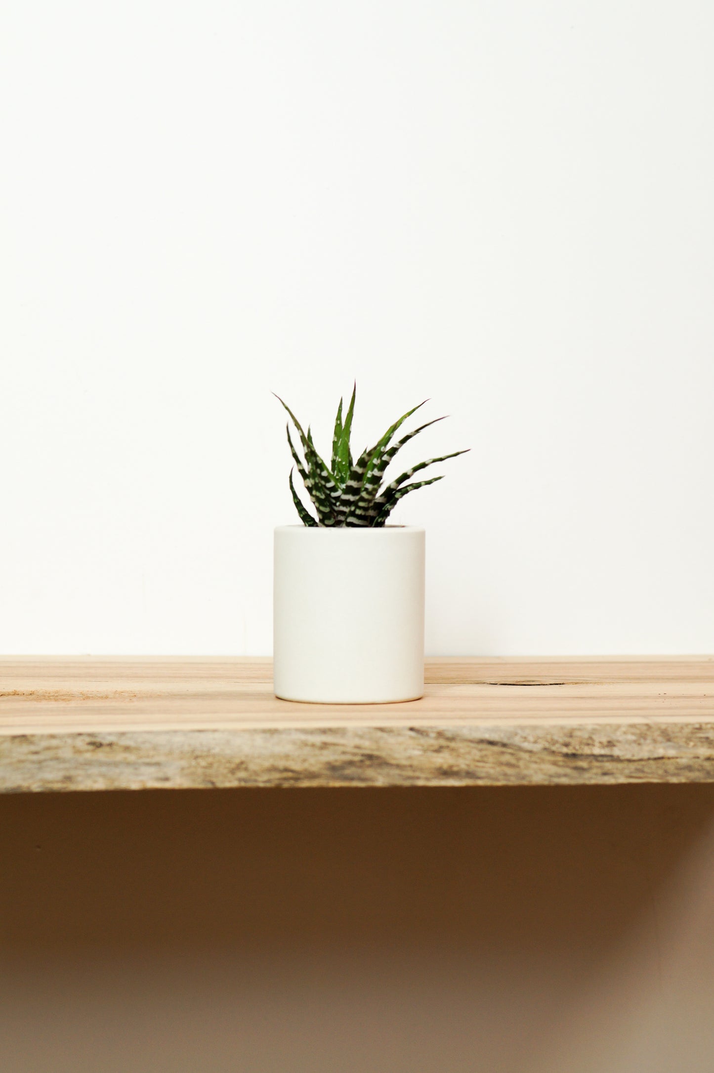 cache pot béton