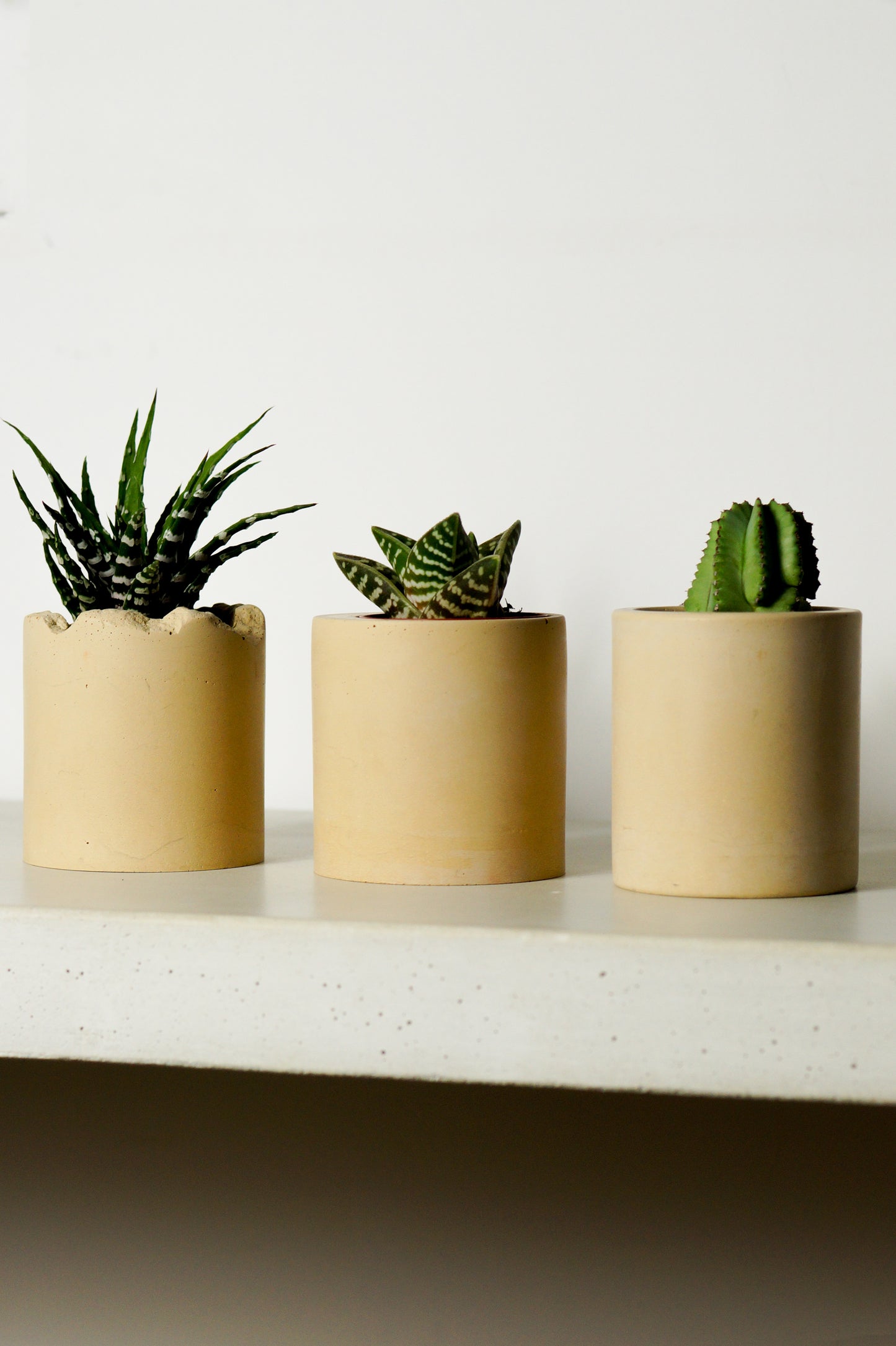 Cache-pots en béton teinte Sable - TRIO