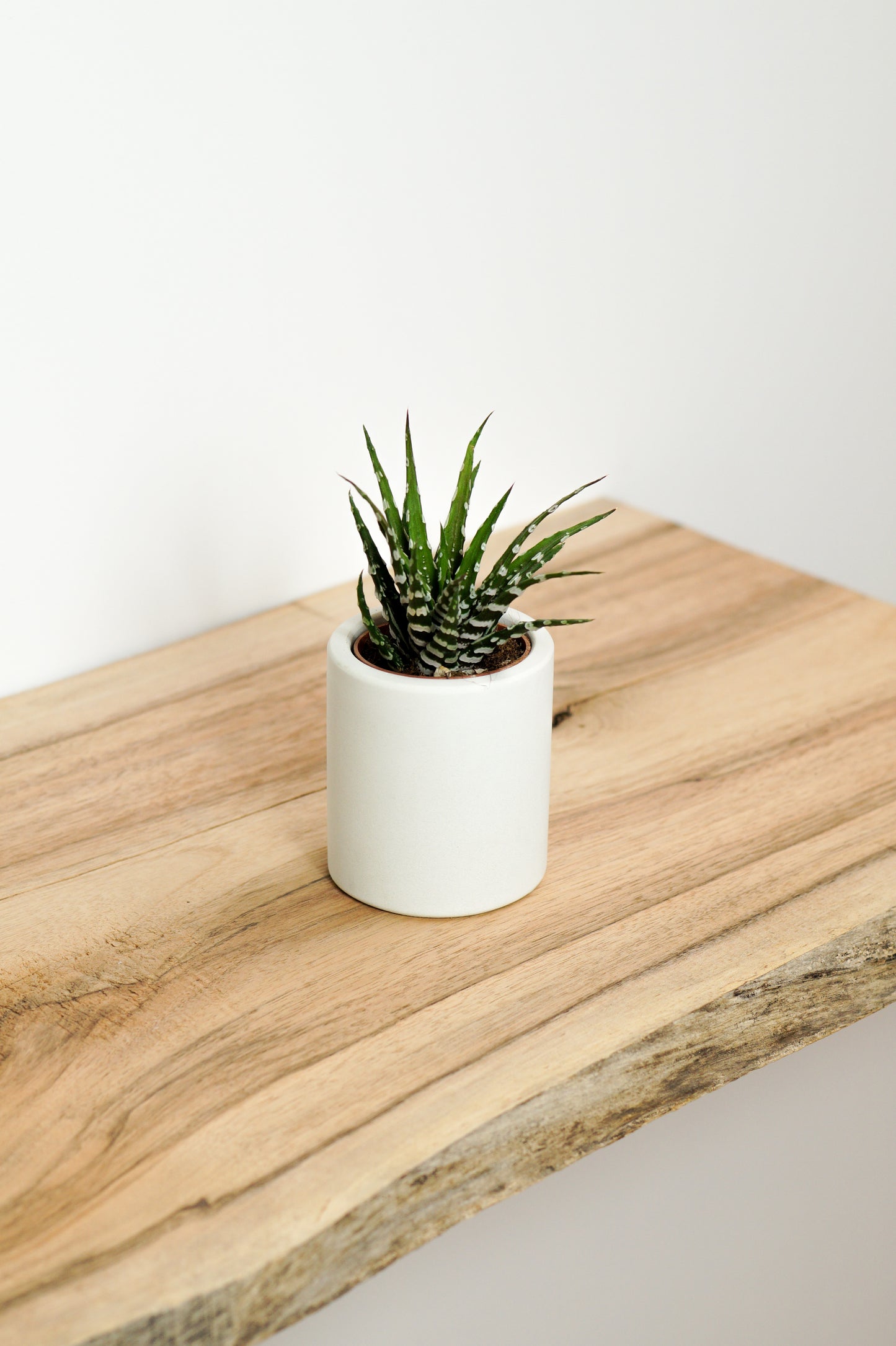 cache pot béton