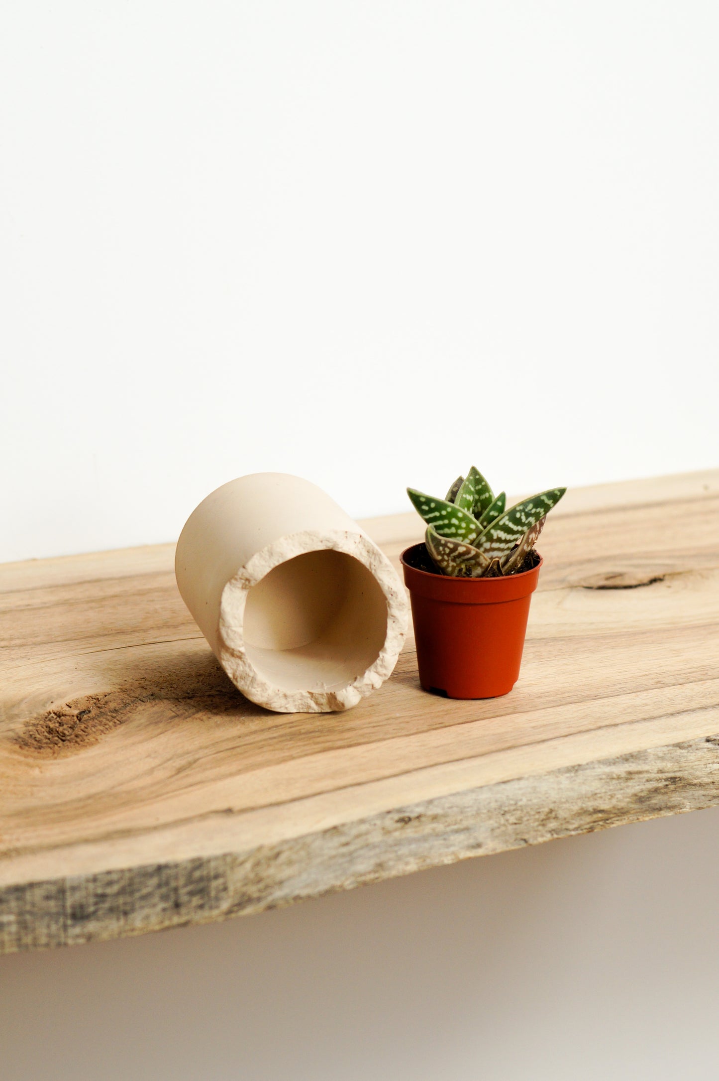 petit cache pot