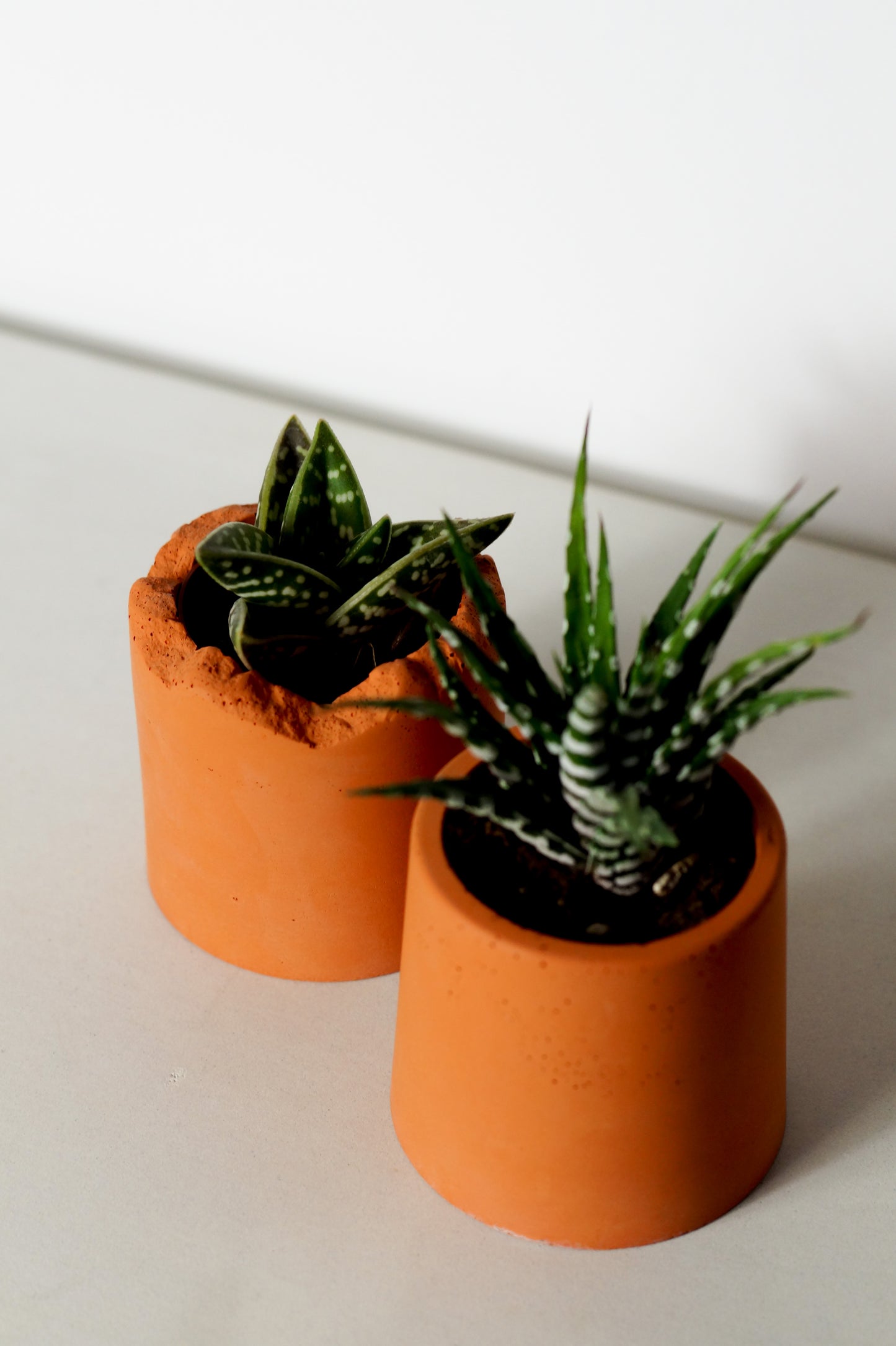 Terracotta colored concrete plant pots - DUO