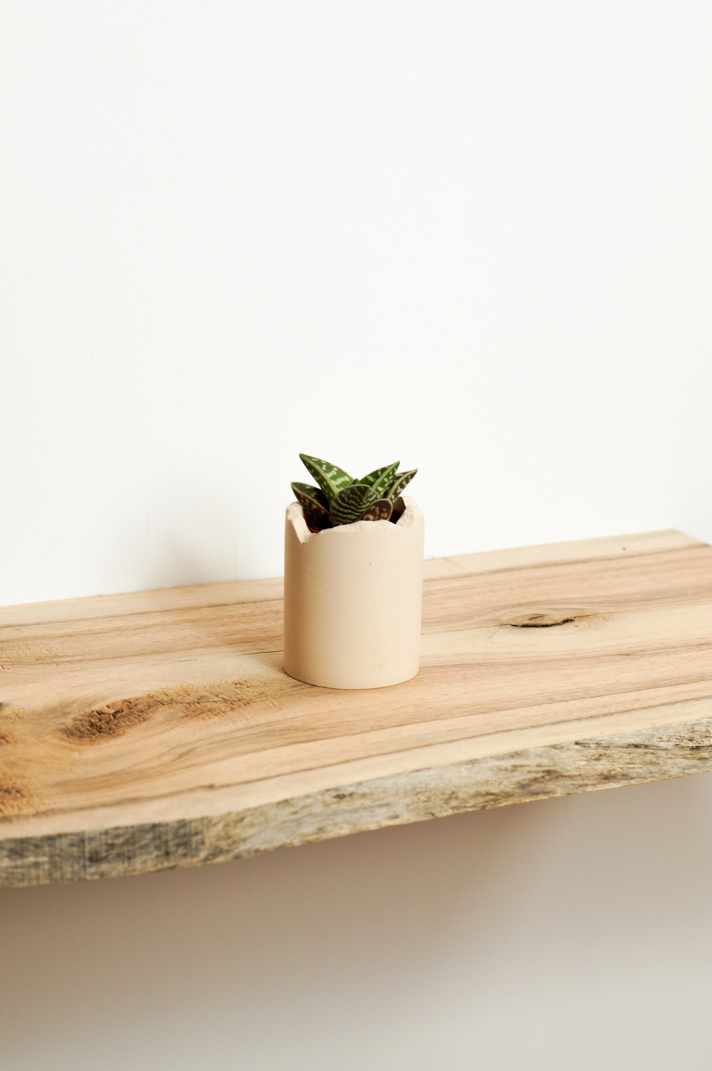 petit cache pot béton