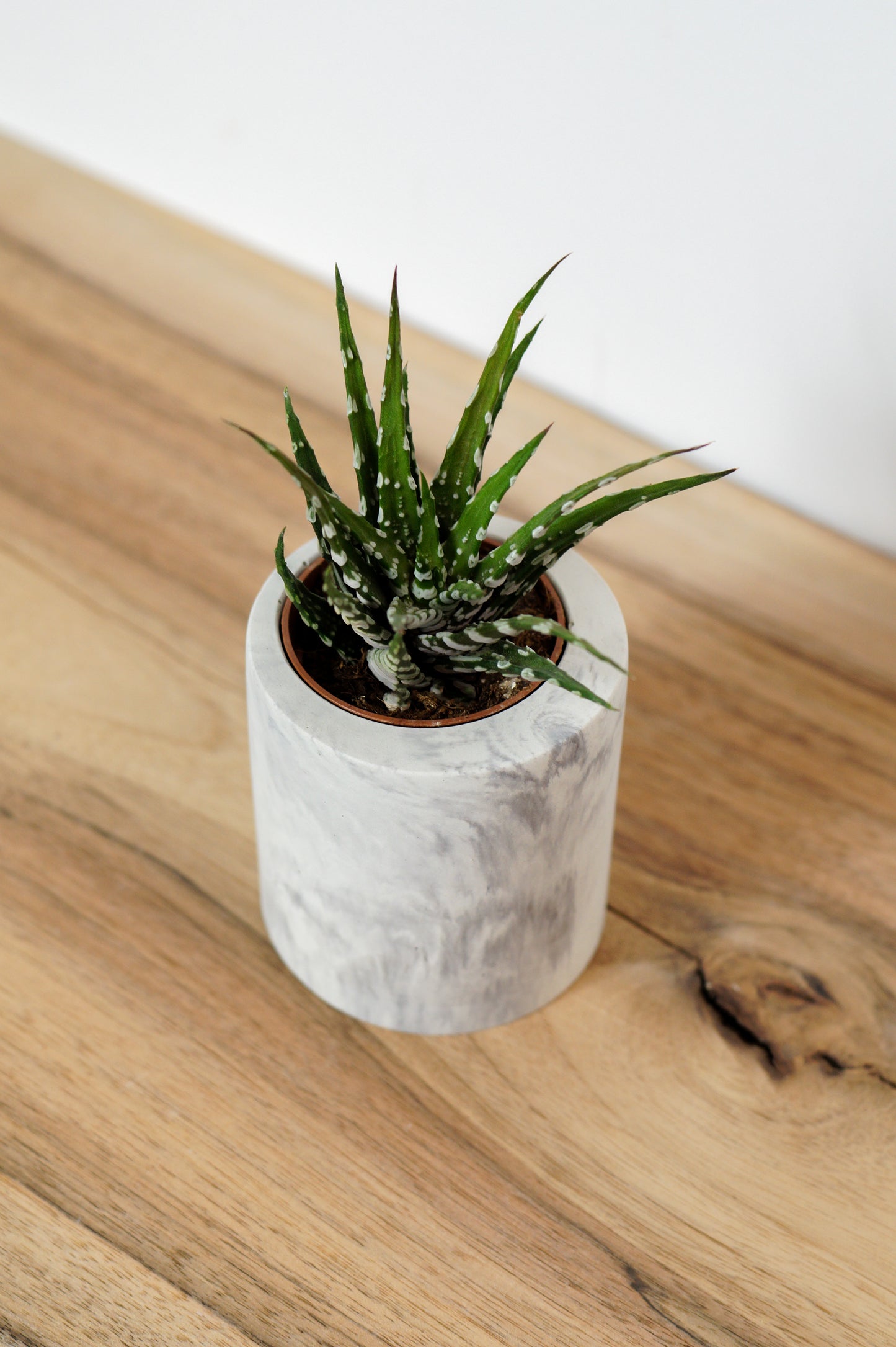 petit cache pot ciment