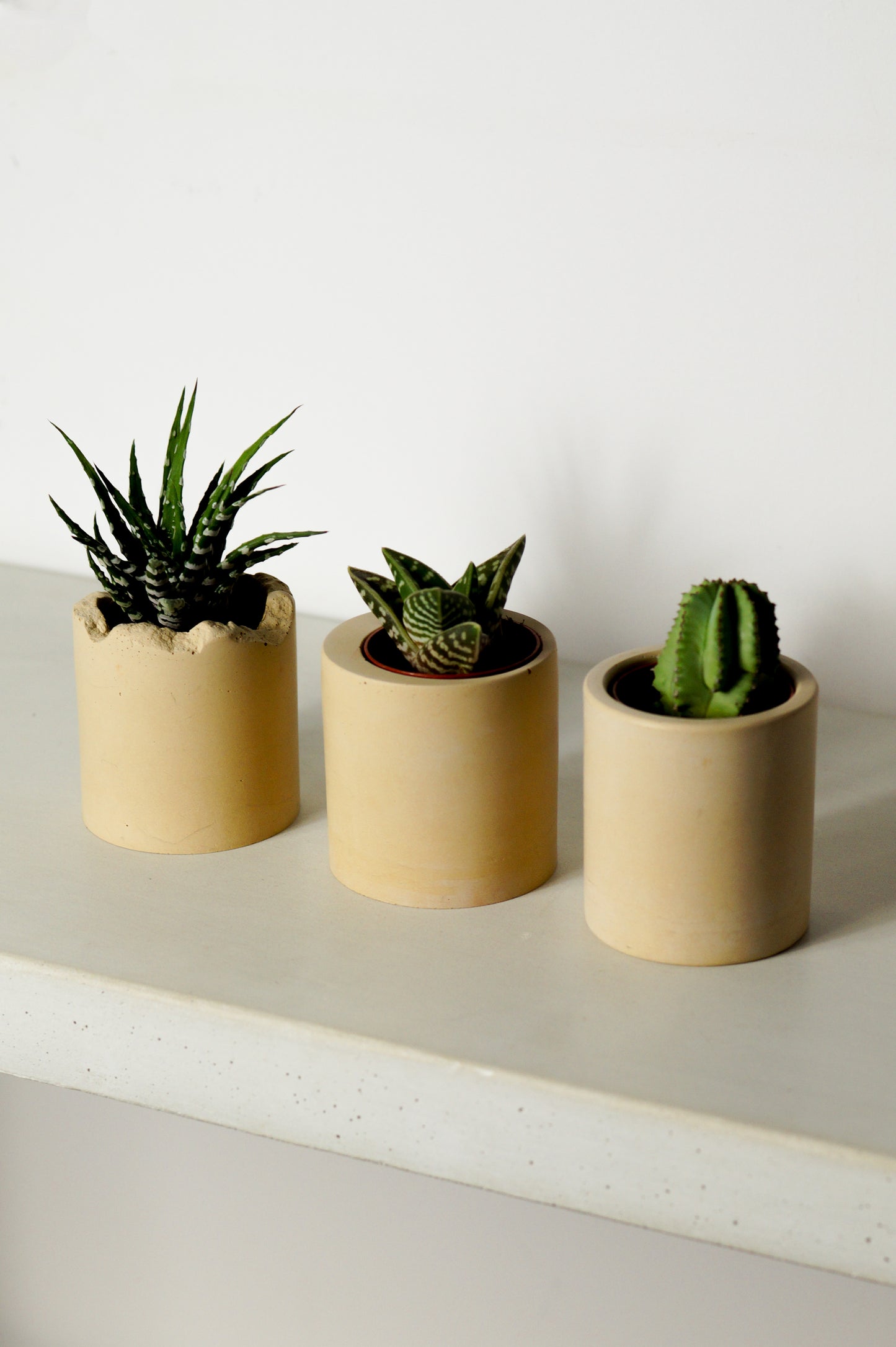 Cache-pots en béton teinte Sable - TRIO