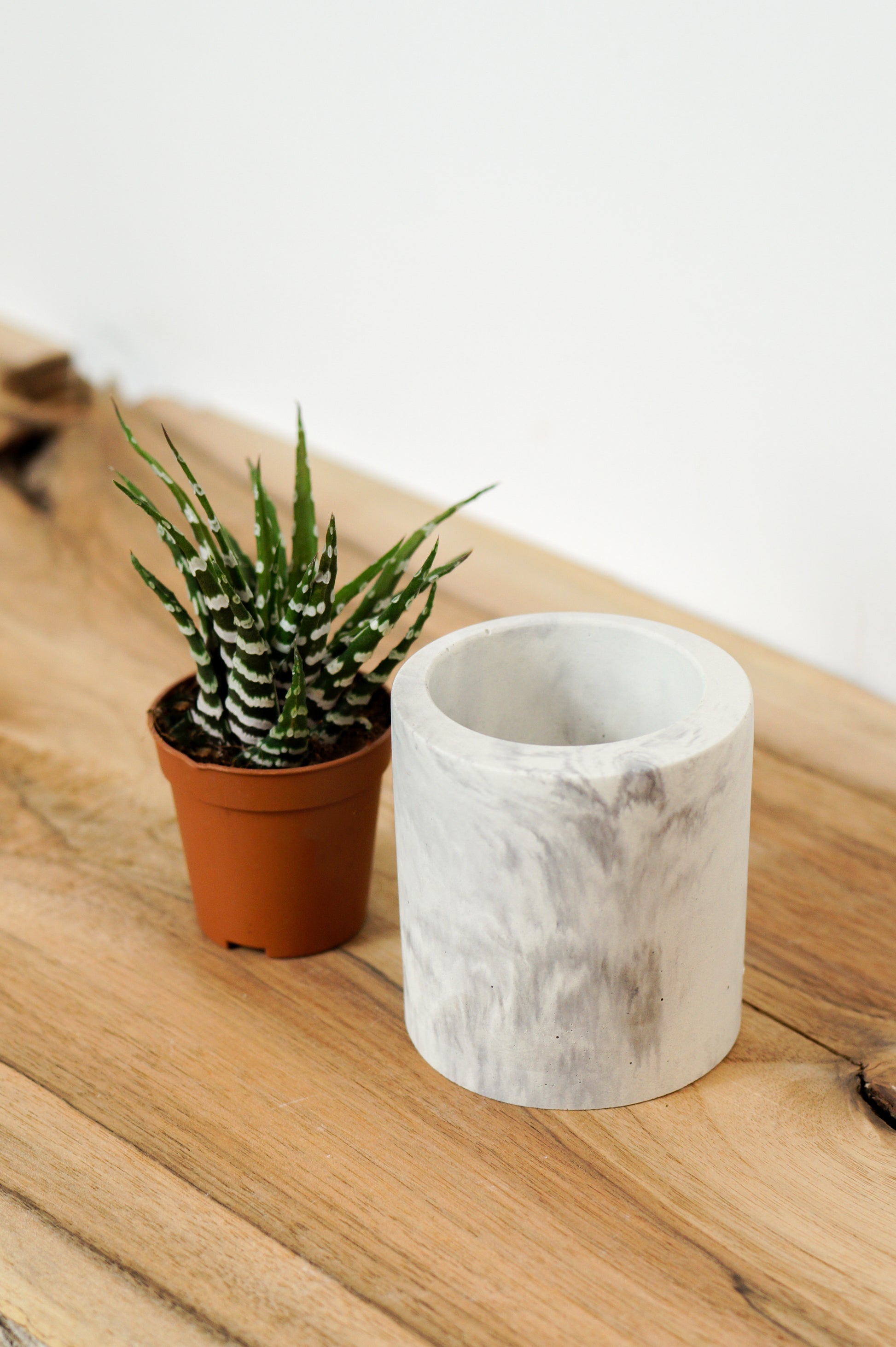 cache pot ciment