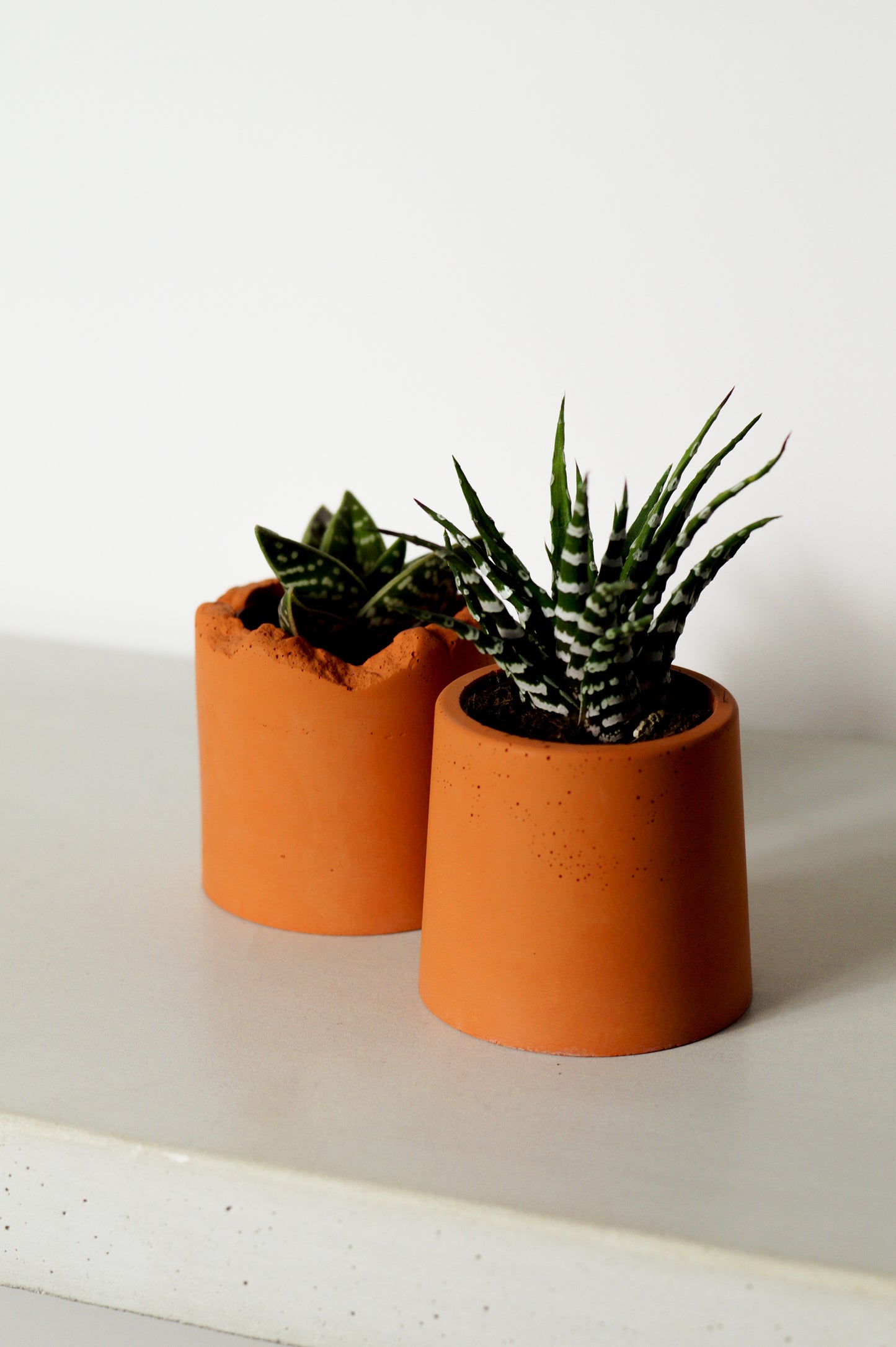 Terracotta colored concrete plant pots - DUO