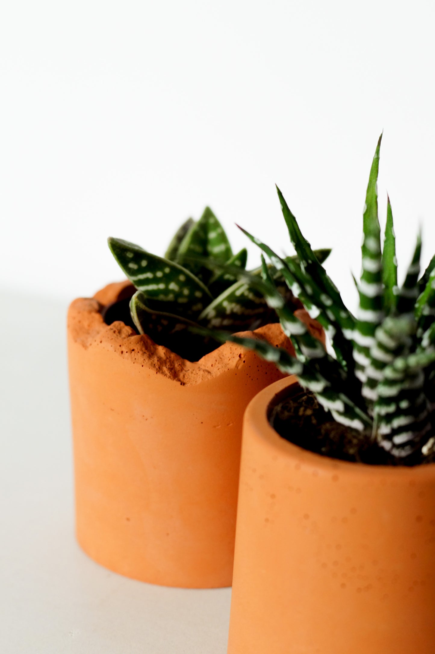 Terracotta colored concrete plant pots - DUO