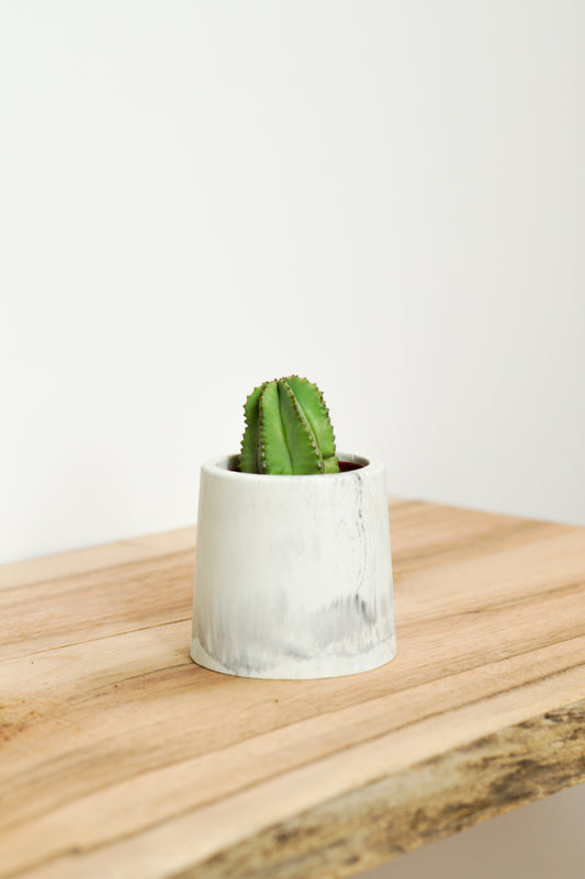 cache pot béton